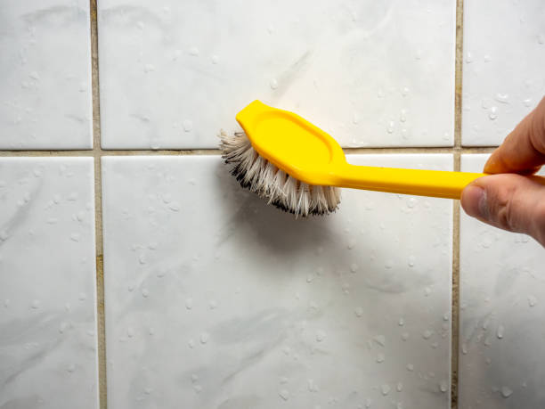 Best Professional Mold Removal  in Brookhaven, PA