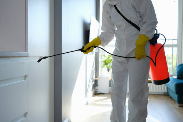 Best Toxic Mold Removal  in Brookhaven, PA